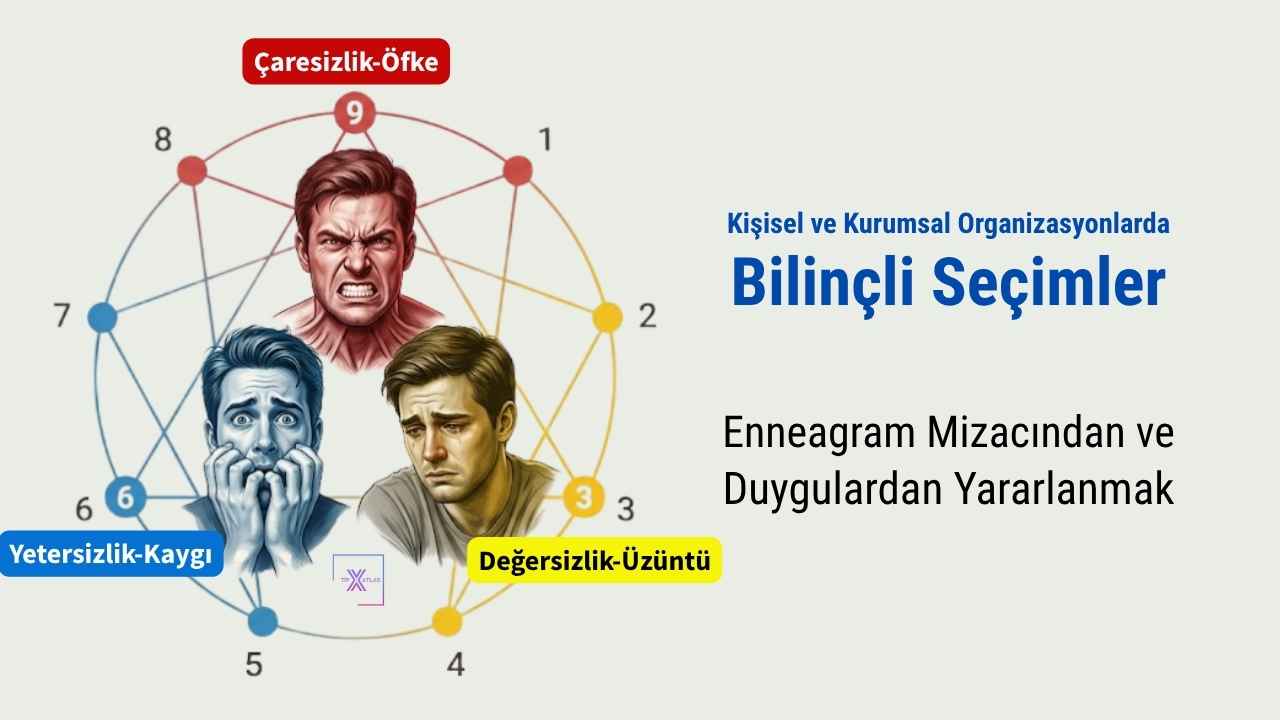 Kişisel ve Kurumsal Organizasyonlarda Bilinçli Seçimler: Enneagram Mizacından ve Duygulardan Yararlanmak
