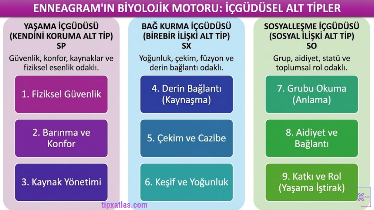 Davranışın Biyolojik Motoru